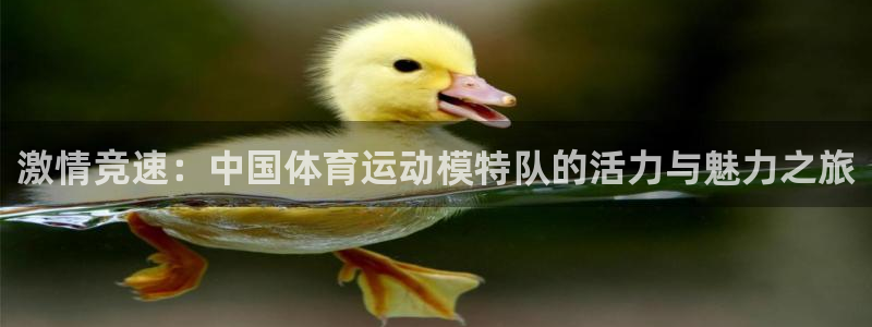 球速体育