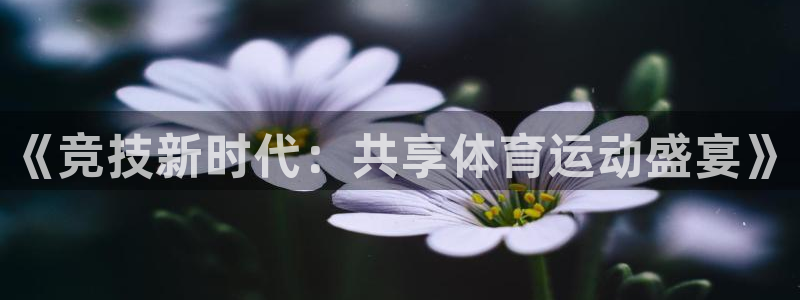 球速体育