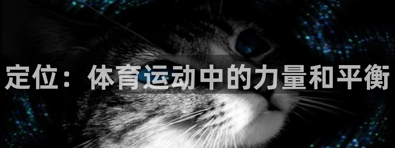 球速体育