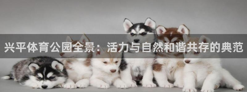 球速体育