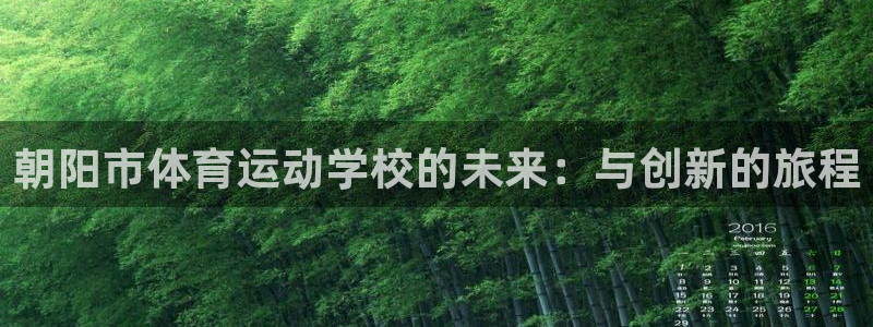 球速体育：朝阳市体育运动学校的未来：与创新的旅程
