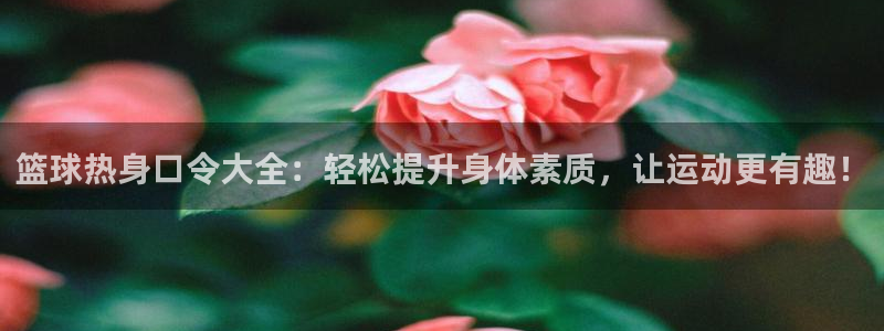 球速体育：篮球热身口令大全：轻松提升身体素质，让运动更有趣！