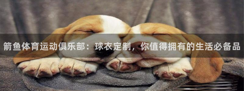 球速体育：箭鱼体育运动俱乐部：球衣定制，你值得拥有的生活必备品