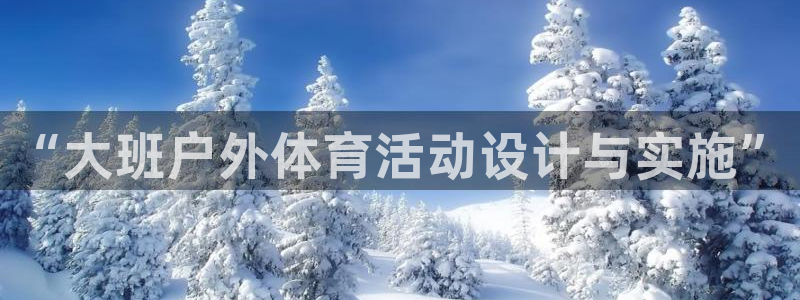 球速体育：“大班户外体育活动设计与实施”