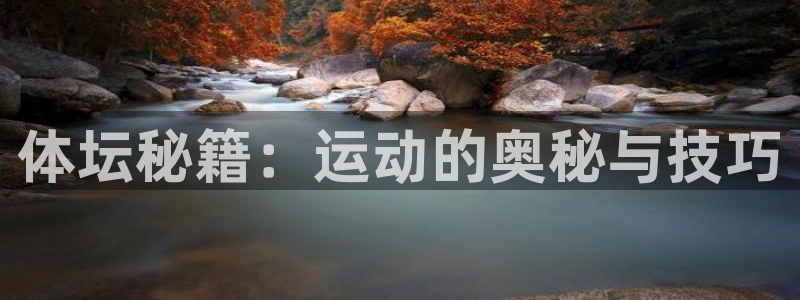 球速体育：体坛秘籍：运动的奥秘与技巧
